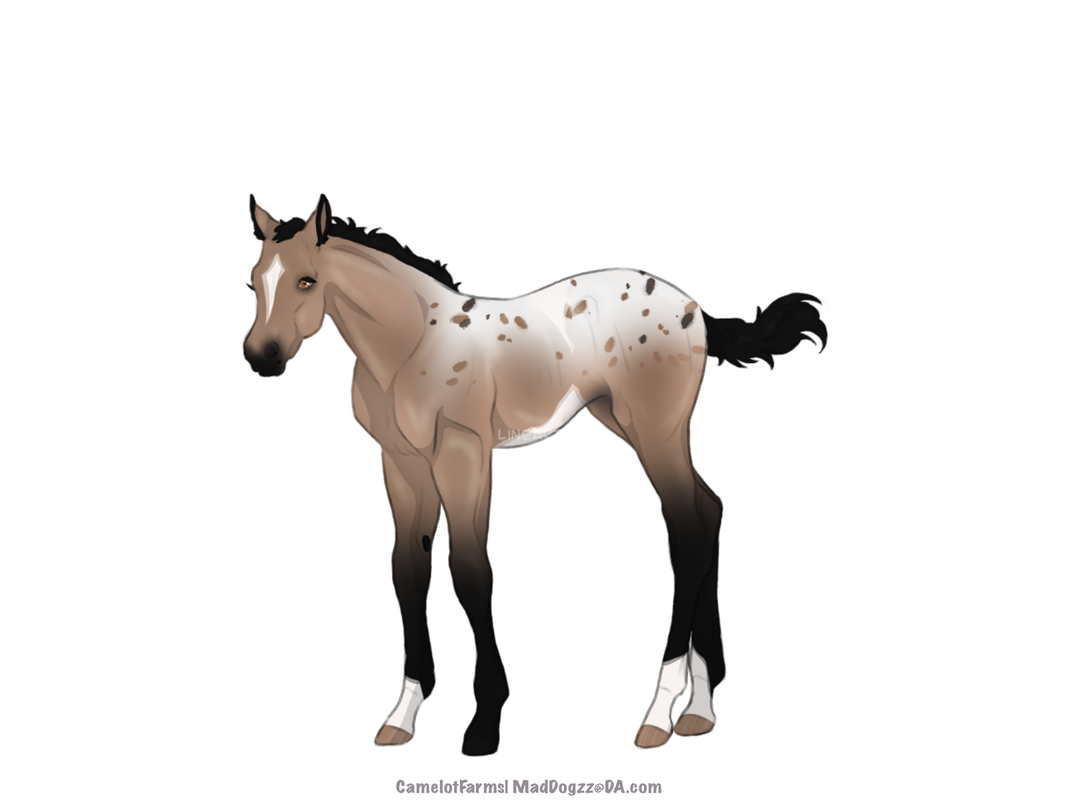 5D89F19D-BF1C-4864-A7E3-BD771EEDF7C4