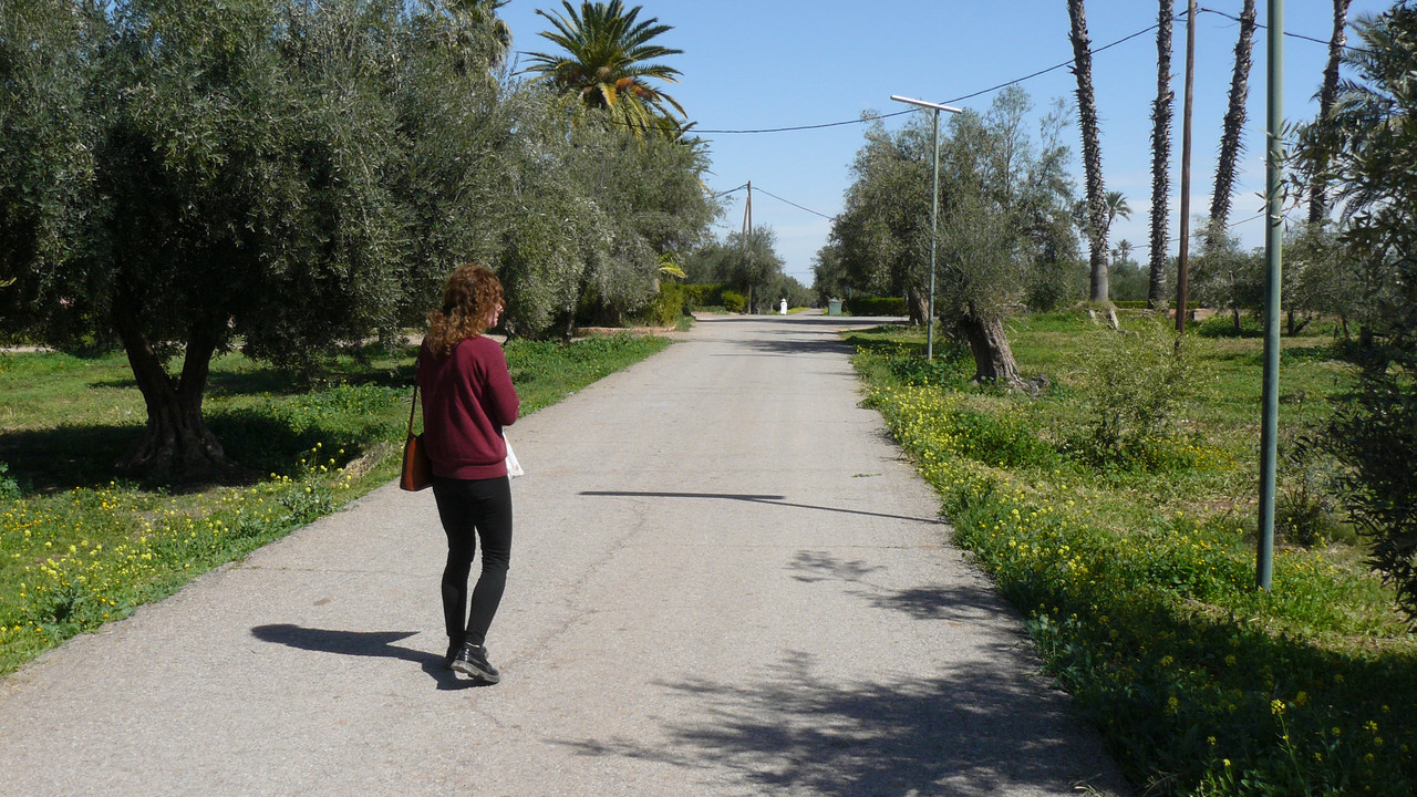 [Obrazek: P1120790.jpg]