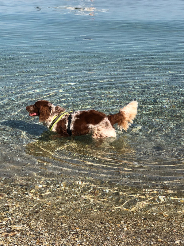 0639371B-2258-4745-9E04-02049406C2A3