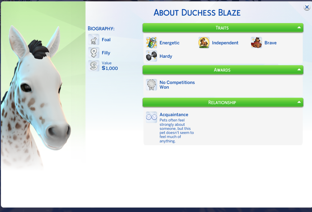 duchess-blaze-is-born.png