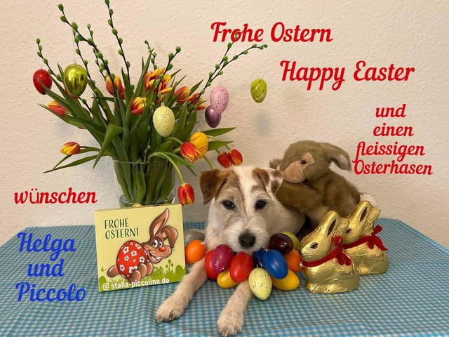 An den Beitrag angehängtes Bild: https://i.postimg.cc/T15Ygkqq/EASTER-01.jpg