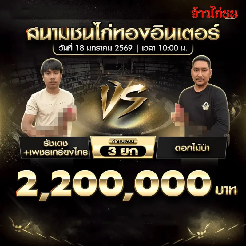 โปรแกรมไก่ชน คู่เด่น รัฐเดช + เพชรเกรียงไกร พบ ดอกไม้ป่า ชิง 2,200,000 บาท ชน 3 ยก