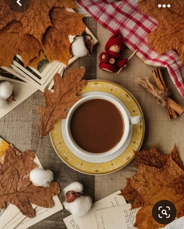 Screenshot_20231031_213037_Pinterest