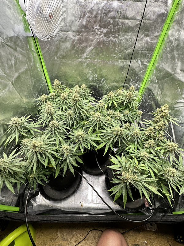 30E6C820-6E70-4AD6-89DF-1199518F136B