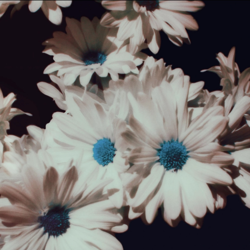 E73D600F-3219-4275-AFB0-1079C3D94C4B