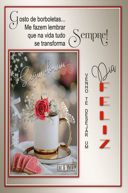 NOVO559-MB-maryluz.gif