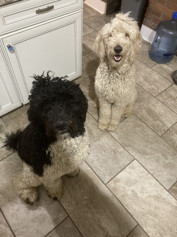 B44A2315-E88C-4918-976F-21B057A640AB