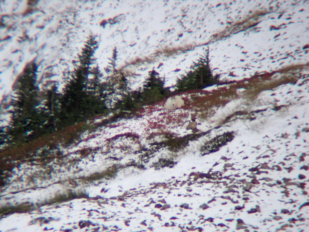 P9301539