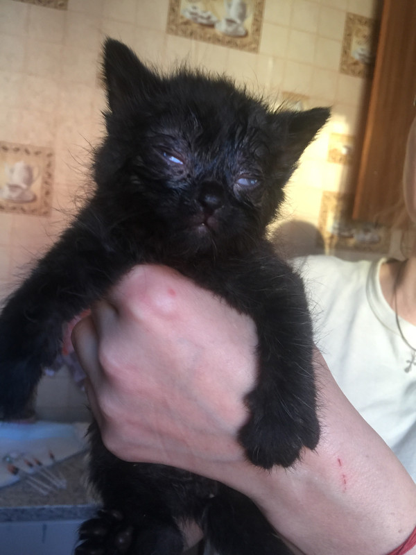 7C62DC86-63B8-4761-AEB0-5964CC9C1945