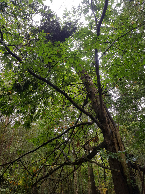 20180920_102212.jpg