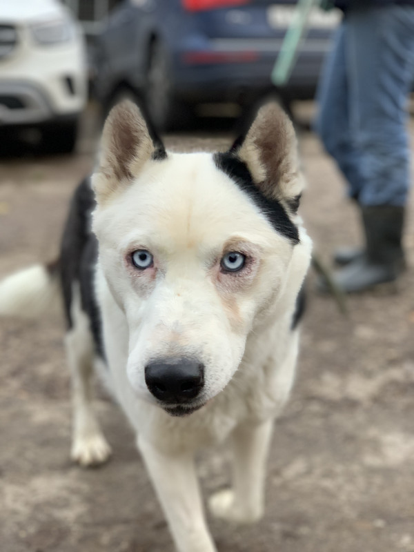 B8855CC5-AFA3-41A0-B46B-AEA4A60998AF