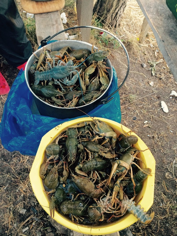 озеро Табацкури-раки )