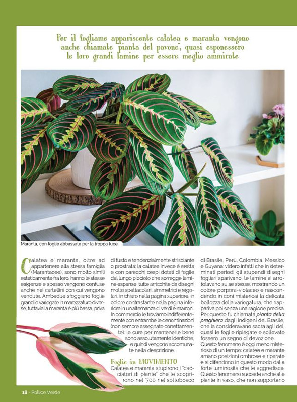 Pol Ver Ott 2022 (1)