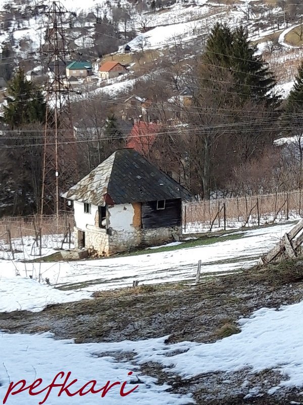 Slika