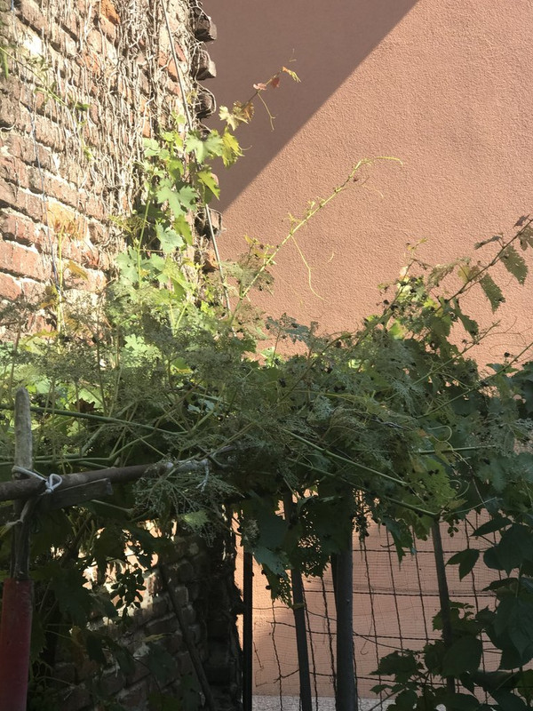 AA097A41-3C7A-447C-9CD6-2E1430613C06