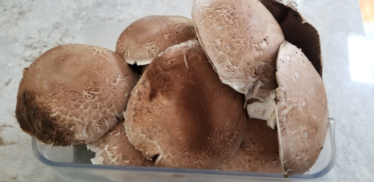 Chè đi các bé  Mushroom