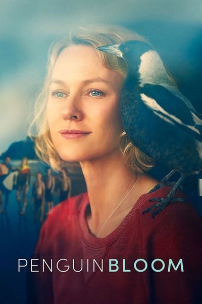 penguin-bloom-2020-720p-bluray-dd-5-1-x2