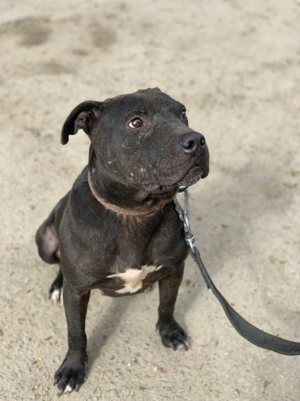 2326F728-D33C-4BE5-AC82-0692EA98225F