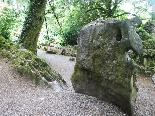 10 días por Irlanda en verano de 2024 - Blogs de Irlanda - DÍA 5 – Castillo Blarney – Parque Nacional Killarney (16)