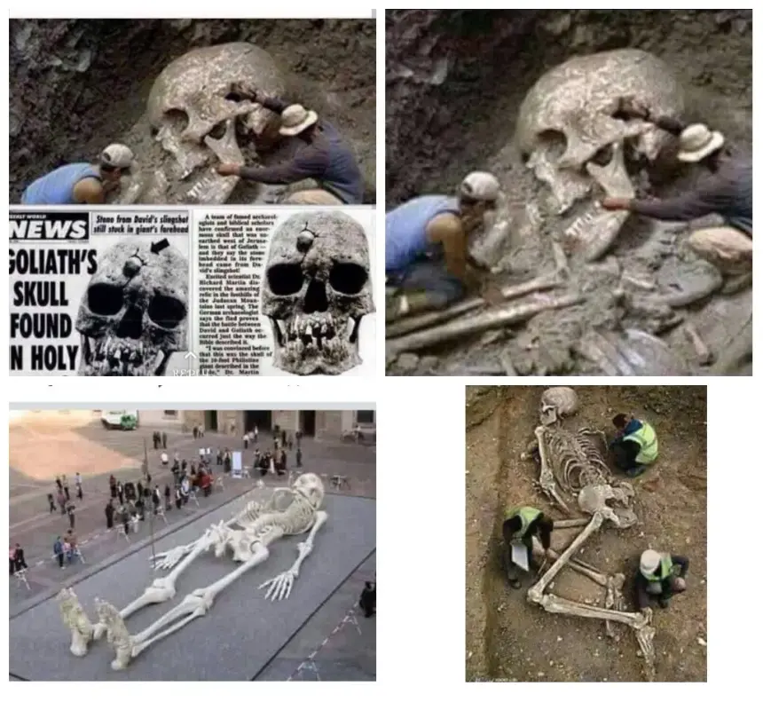 goliath-skeleton