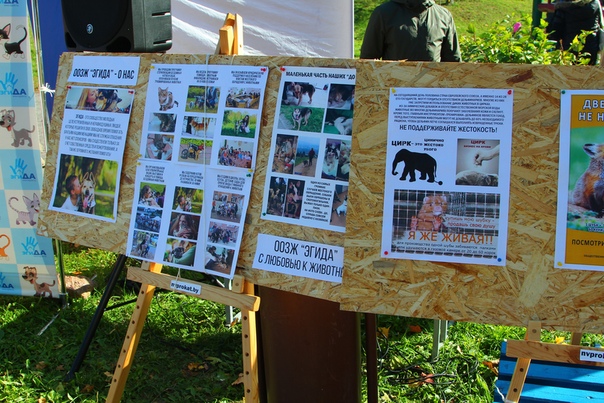 34B81A5C-ACA3-4CAB-B4E5-C25AFDF00BC8