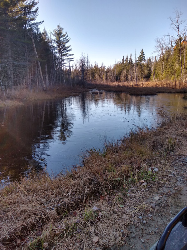 IMG_20211106_145343211_HDR