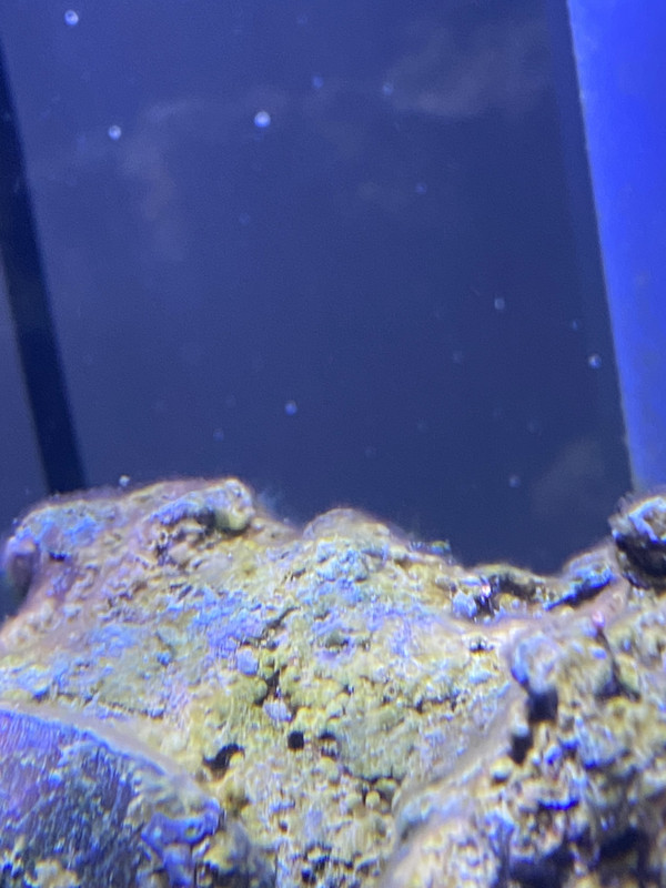 4BA52BF0-3408-472F-A2D4-46C6CCBC3D63