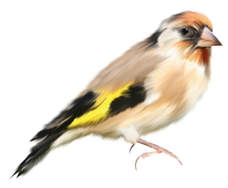 IPD_AH_Element (121)