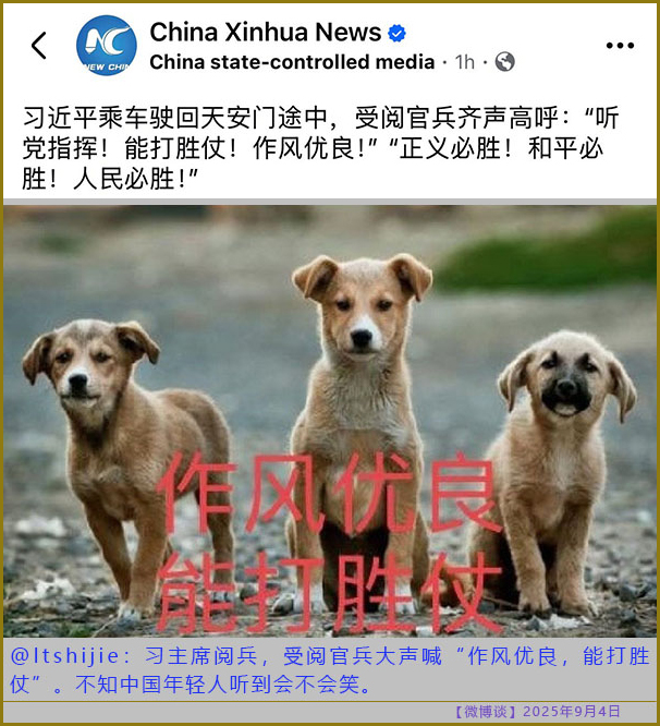 https://i.postimg.cc/T19pd40T/20250904-bt-7.jpg