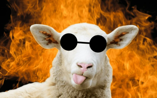 Screenshot 2026 01 25 061802