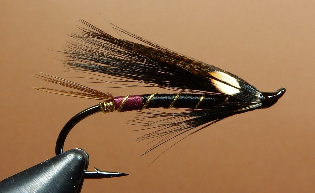 Marquis_1080.jpg Marquis_1080.jpg
