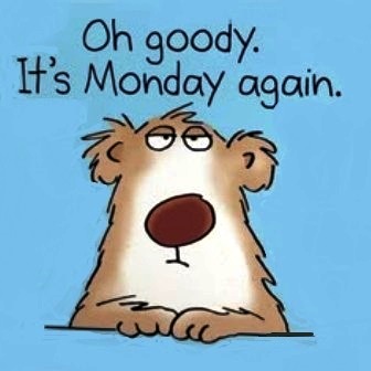 Monday-Cartoon-Bear