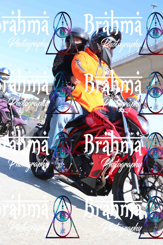 IMG 2431 — Postimages