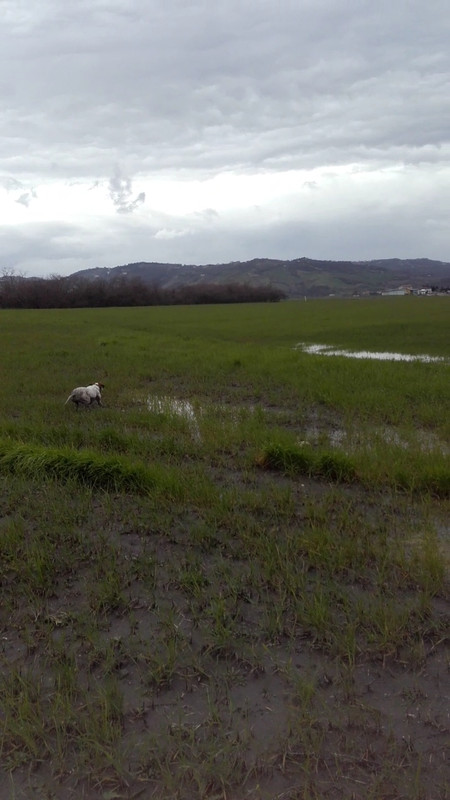 Image-1280_720_20191118T081059