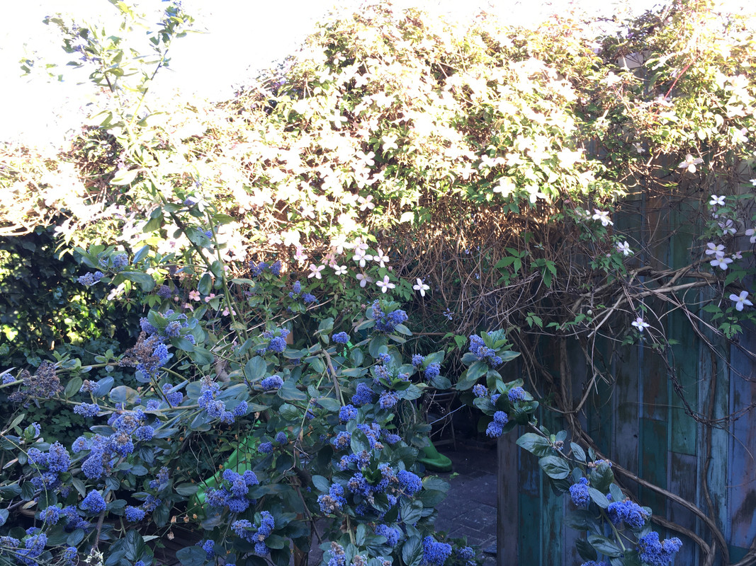 EC141341-574E-4935-B55A-A196DB5658FE