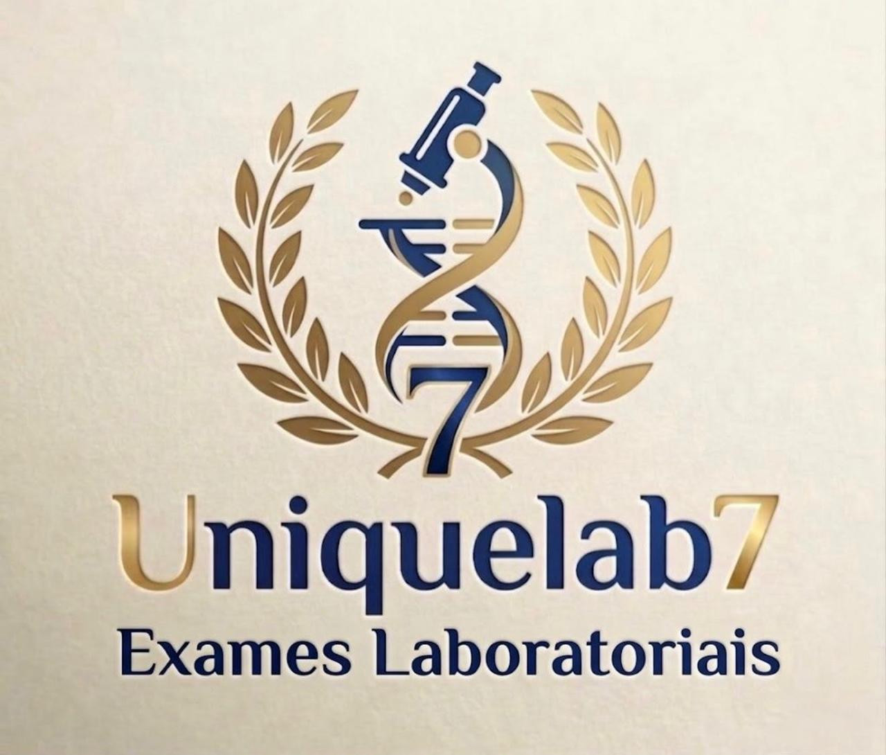 Identidade visual da UniqueLab7