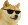 cooldog.webp