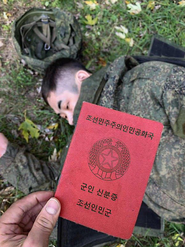 Увідєть Курск і умєрєть