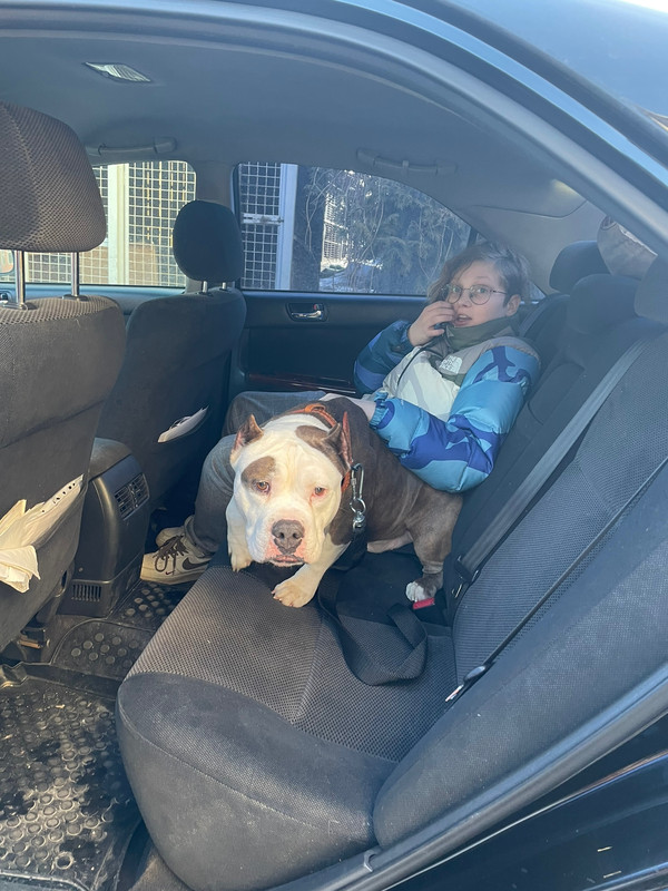 67E7B870-44B5-4A95-BC13-608FC5F2FA3C