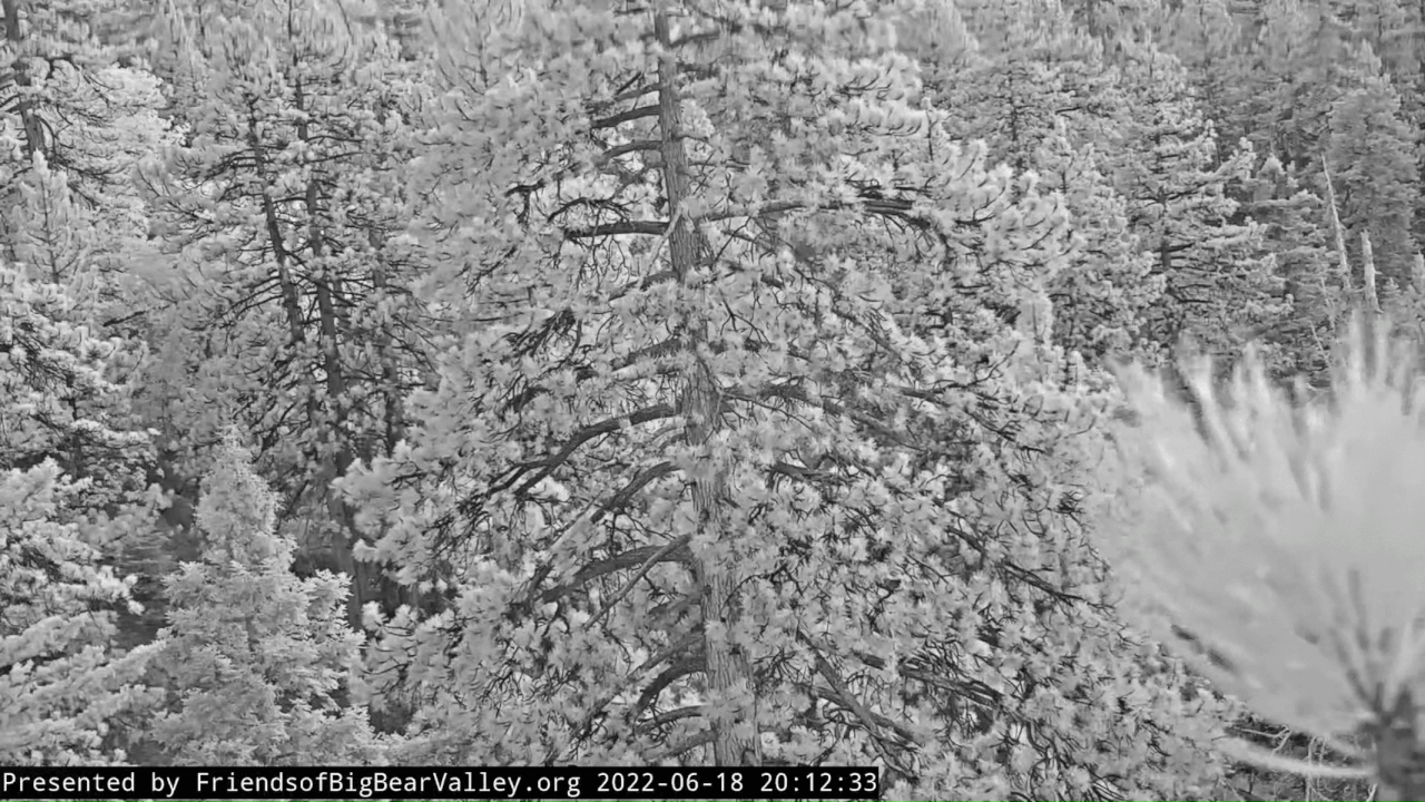 Webp.net-gifmaker (12)