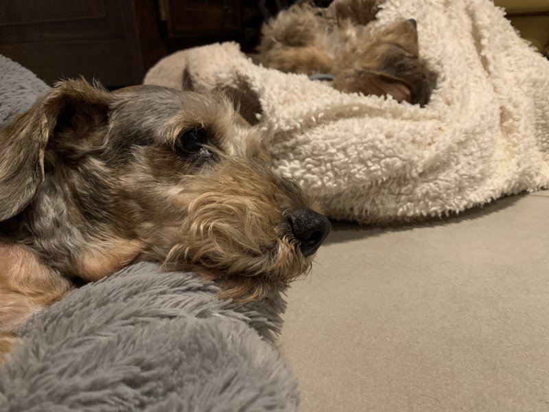 [Image: IMG-8421.jpg]