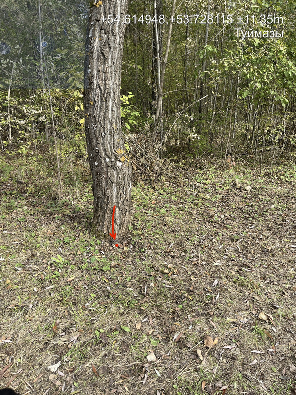 TC_00750