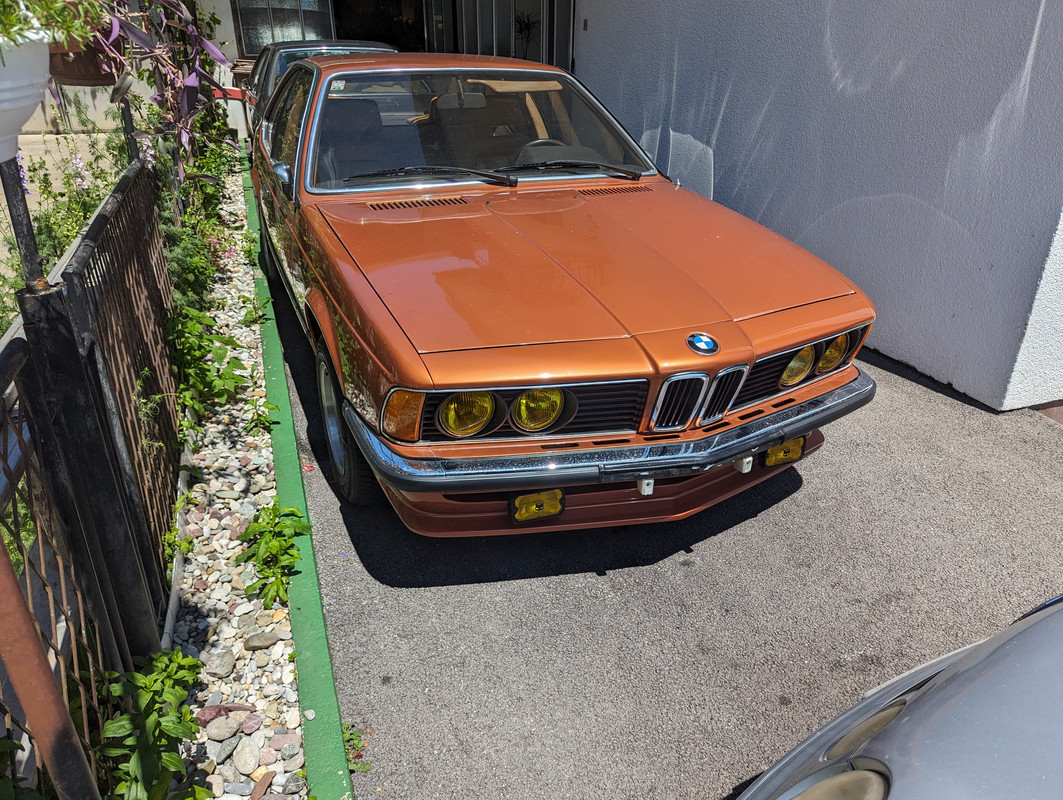 PXL_20240524_110534942