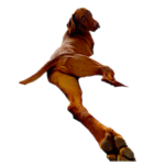 CB7-F5-D8-C-2978-46-BF-9-DB4-AB72-E6-B7-D4-B5.png