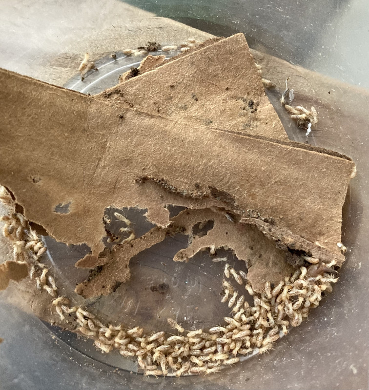 0DF55907-54E3-452C-8893-CEFF2701F7DC