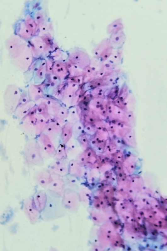 Sala de Macroscopía