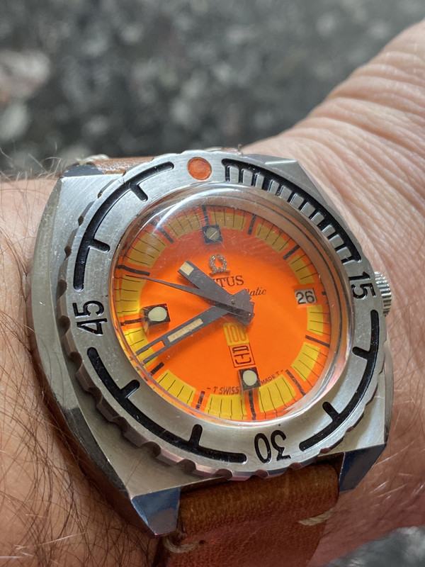 9D765020-ECBE-4EB6-8228-064BCA3F1D21