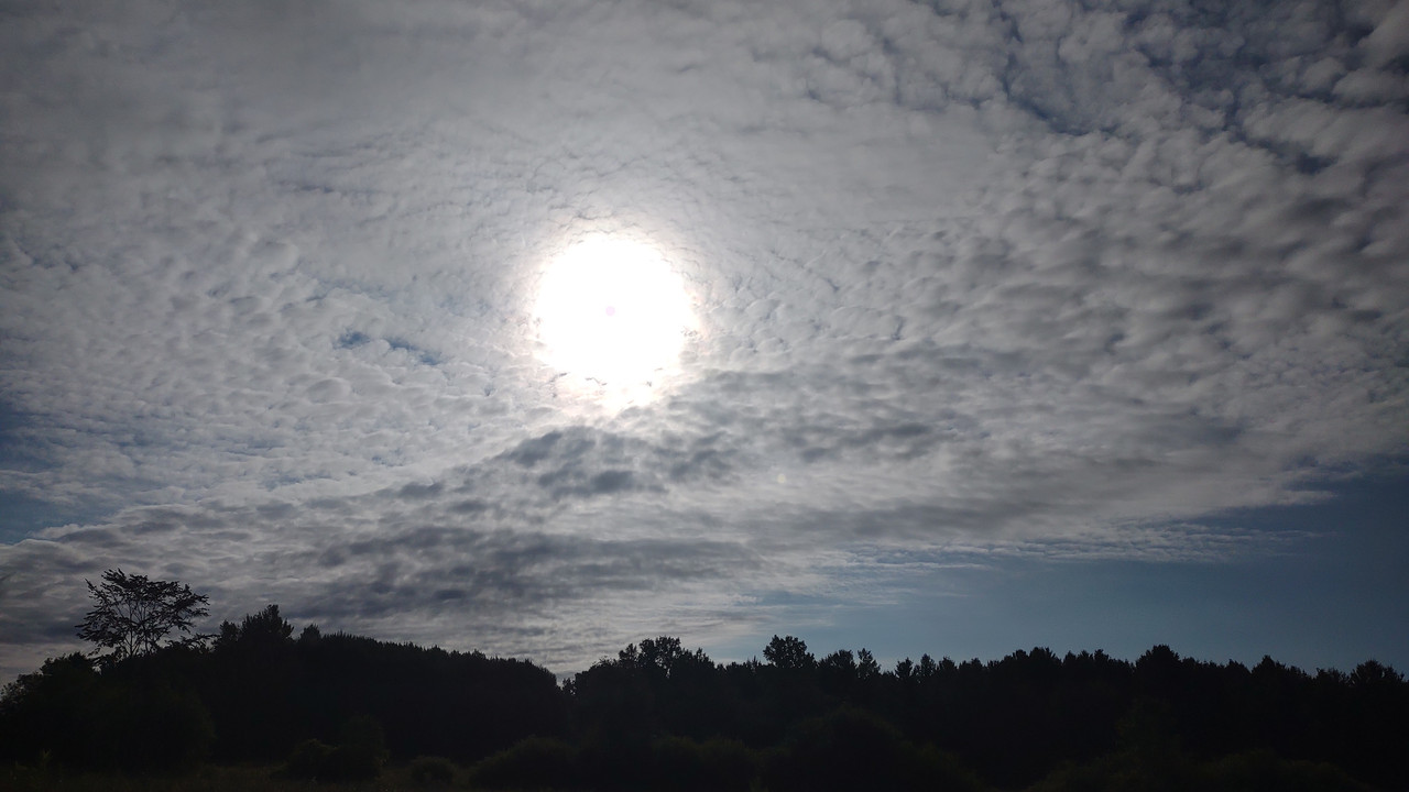 IMG_20250831_091712365