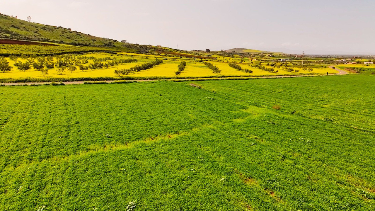 646126642-122174329520792190-3717189594492824160-n