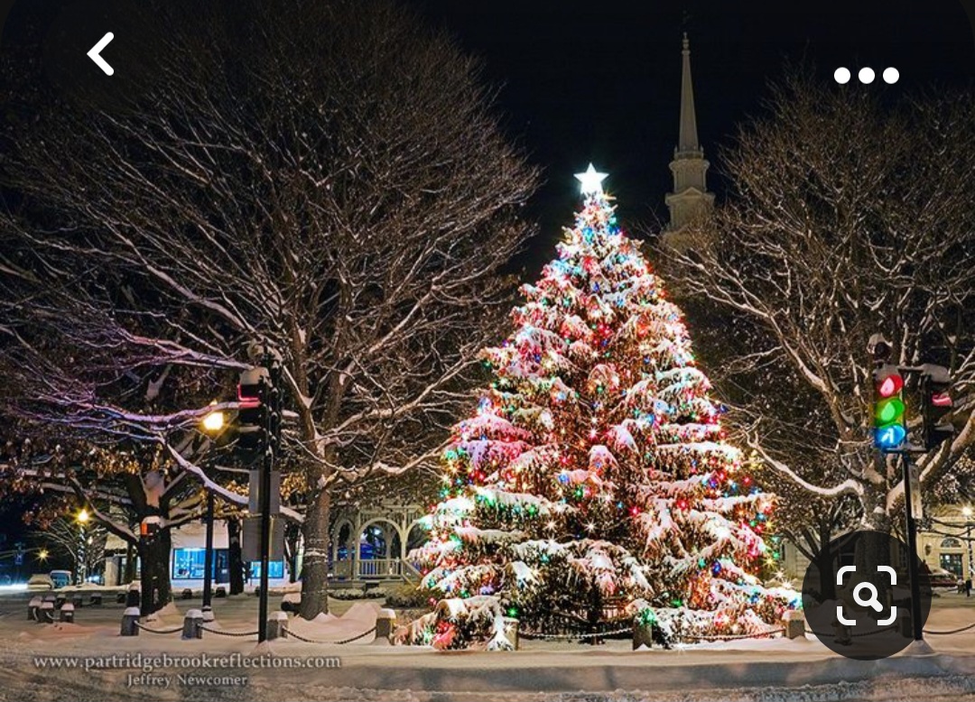 Screenshot_20231017_202526_Pinterest